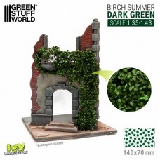Edera in miniatura - Betulla verde scuro - Grande